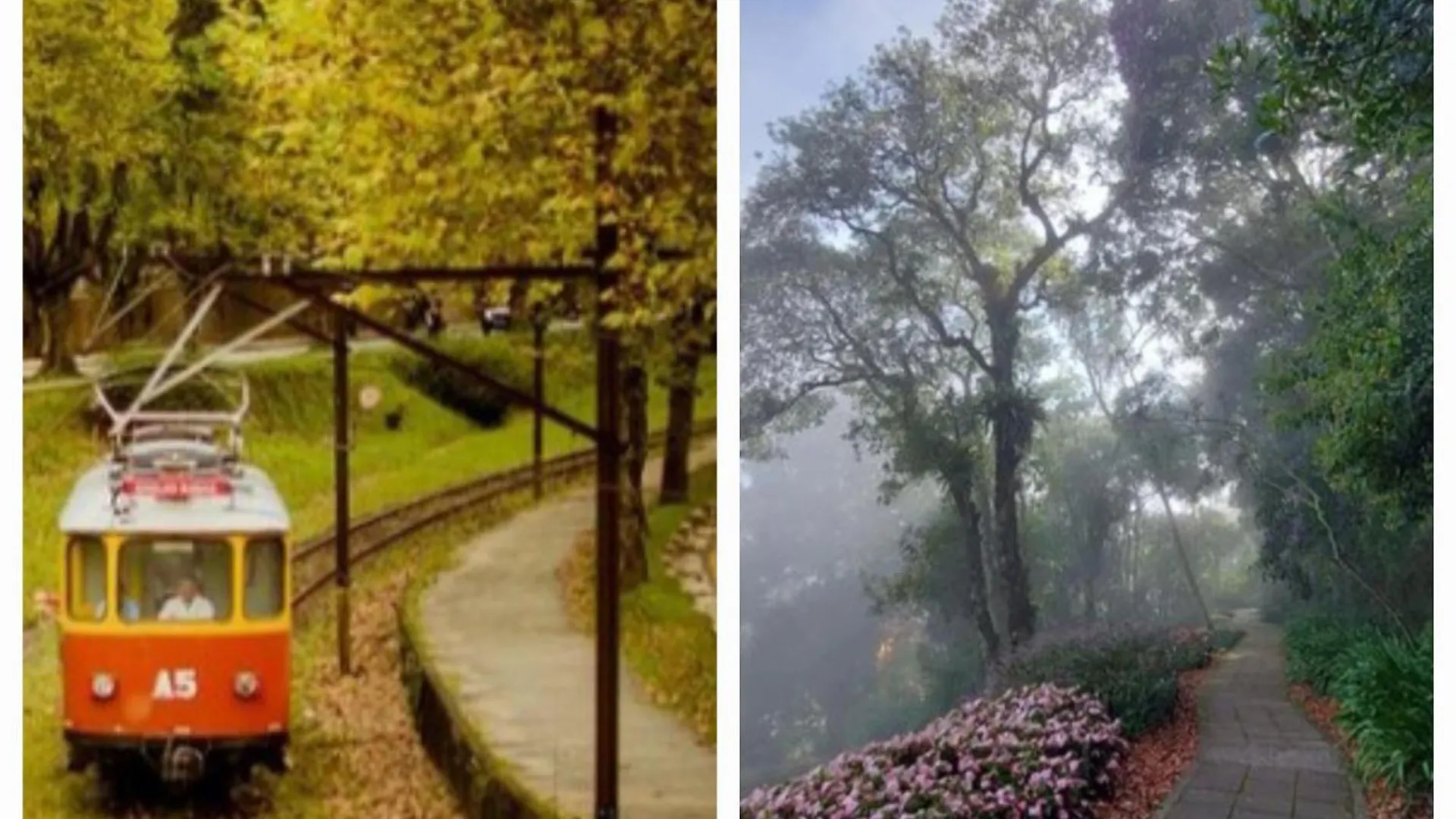 Resort Carpe Diem Boutique Spa Campos do Jordao 0*,